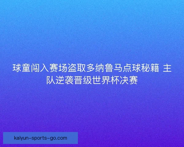 球童闯入赛场盗取多纳鲁马点球秘籍 主队逆袭晋级世界杯决赛